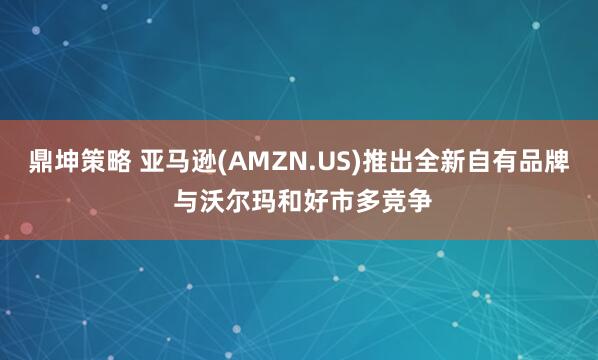 鼎坤策略 亚马逊(AMZN.US)推出全新自有品牌 与沃尔玛和好市多竞争