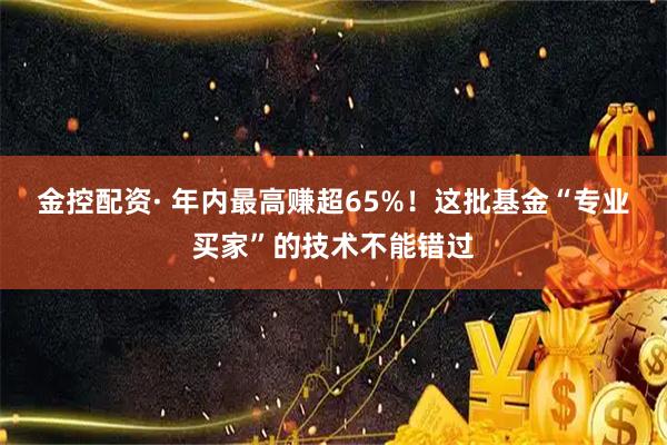 金控配资· 年内最高赚超65%!这批基金“专业买家”的技术不能错过