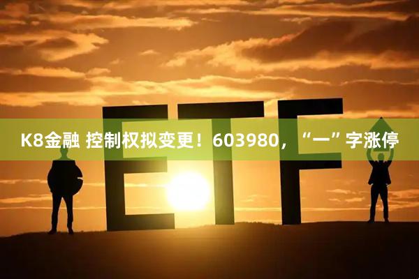 K8金融 控制权拟变更！603980，“一”字涨停