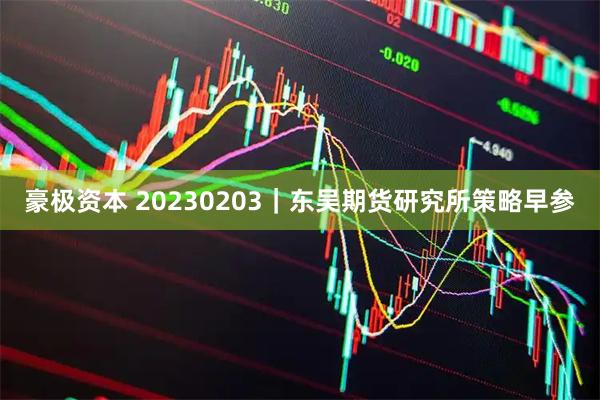 豪极资本 20230203|东吴期货研究所策略早参