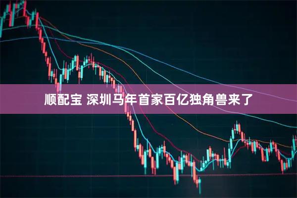 顺配宝 深圳马年首家百亿独角兽来了